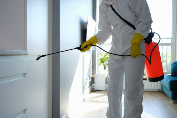 Best Mold Remediation  in Orfordville, WI