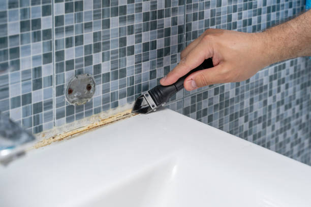 Best Mold Removal Near Me  in Orfordville, WI