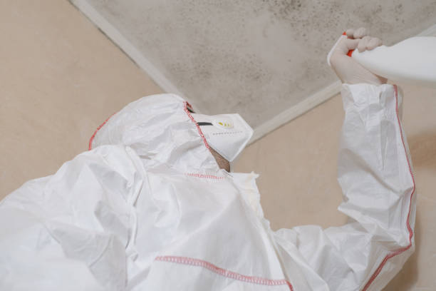 Best Mold Damage Repair  in Orfordville, WI