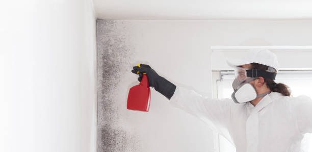 Best Certified Mold Removal  in Orfordville, WI