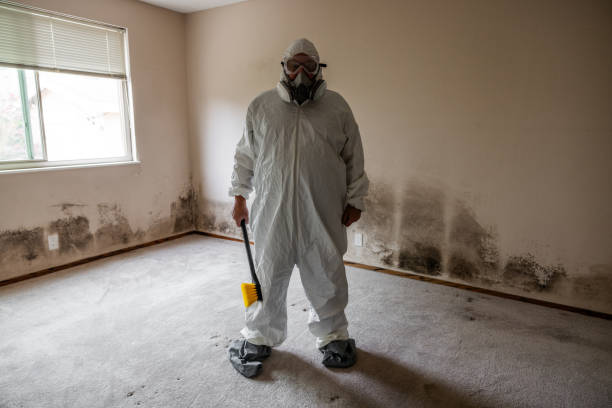 Best Attic Mold Removal  in Orfordville, WI